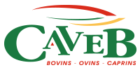 caveb - Life Green Sheep Partner