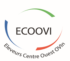 ecoovi - Life Green Sheep Partner