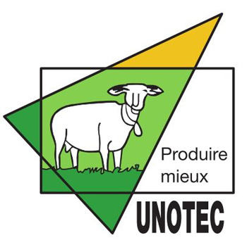 unotec - Life Green Sheep