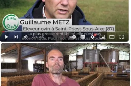 Deux témoignages vidéo d’éleveurs français de Life Green Sheep