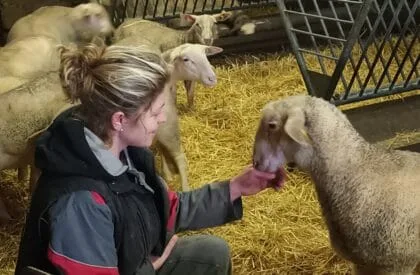 Regards croisés d’une éleveuse et de sa conseillère sur un élevage innovant en Aveyron (France)