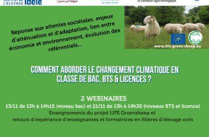 Comment aborder le changement climatique en filières ovines dans l’enseignement agricole ? Retour sur les webinaires des 13 et 21 novembre