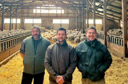 Nella regione dell’Hérault, presso il GAEC Moulin du Tironant: cambiare razza e strategie alimentari per migliorare le prestazioni tecniche e ambientali del gregge